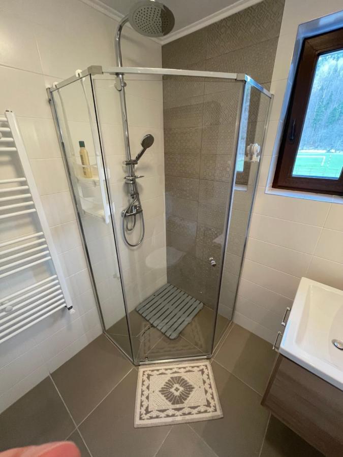 בוסטאני Castle Residence Apt. Eminescu מראה חיצוני תמונה