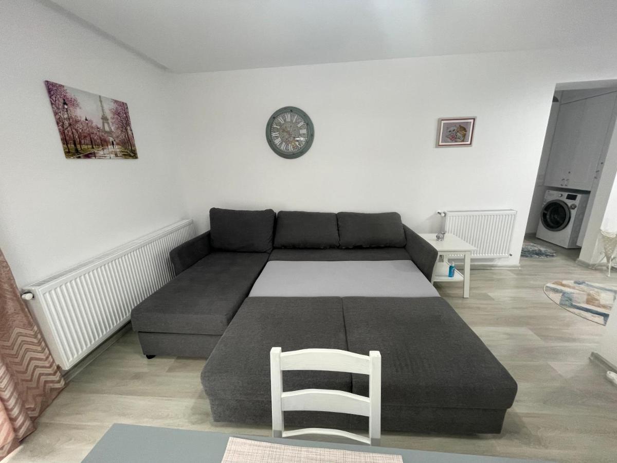 בוסטאני Castle Residence Apt. Eminescu מראה חיצוני תמונה