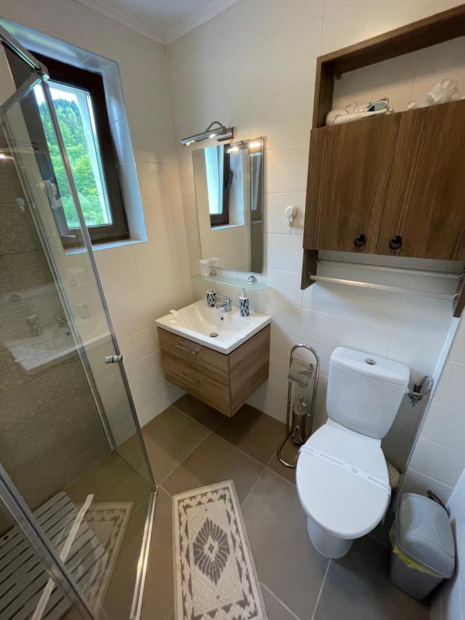 בוסטאני Castle Residence Apt. Eminescu מראה חיצוני תמונה